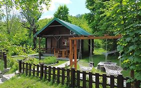 Cabin House Dubovik