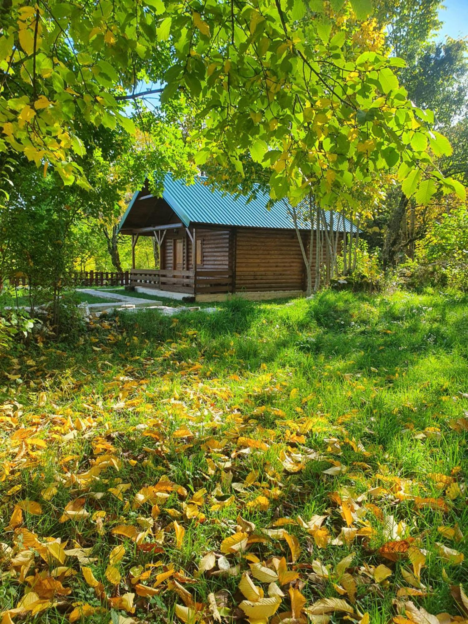 סטינג'ה Cabin House Dubovik מראה חיצוני תמונה